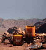 The Amber Collection