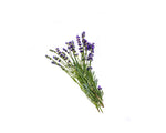 Lavender Vanilla