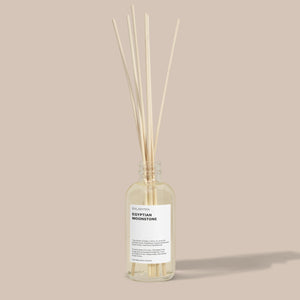 
            
                Load image into Gallery viewer, EGYPTIAN MOONSTONE REED DIFFUSER
            
        